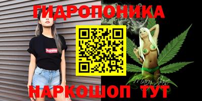 сатива Кулебаки