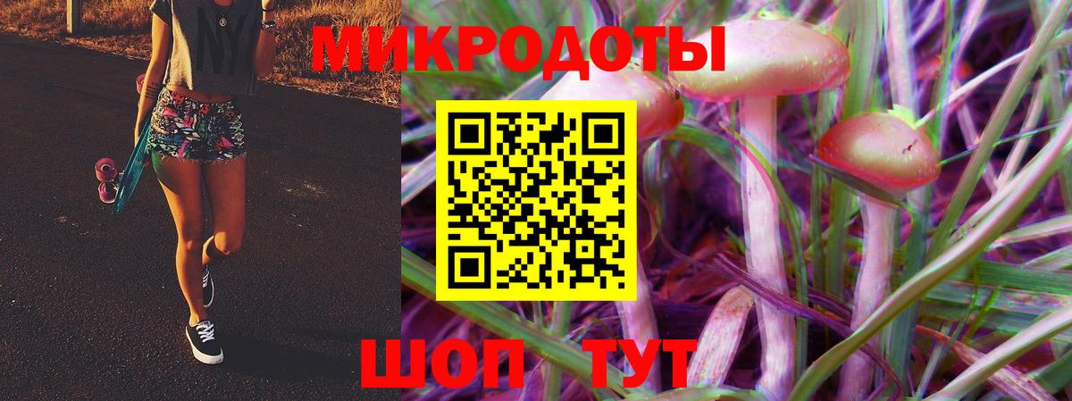 Кимовск  Галлюциногенные грибы мицелий  Вход с VPN 